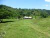 Sosua area - cheap farmland for sale Dominican Properties